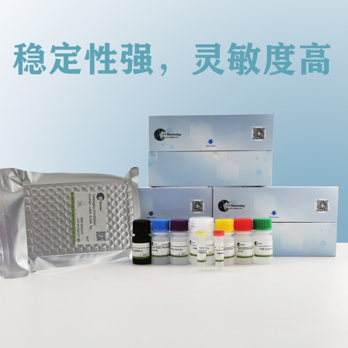 Mouse HbsAg(Hepatitis B Surface Antigen) ELISA Kit XY9M0002 上海信裕生物