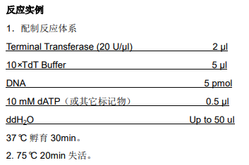 image 2022040810483691885